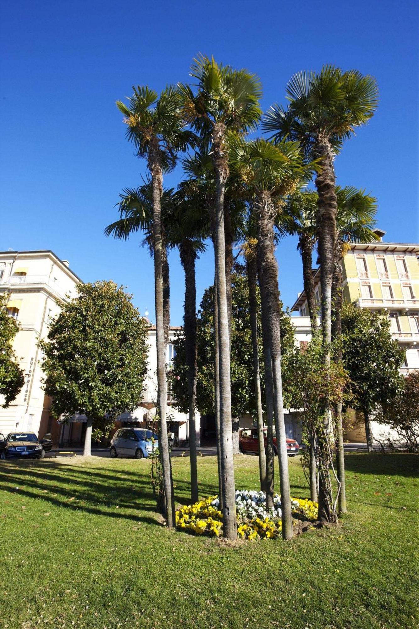 Appartamenti Lungolago Verbania Exteriör bild